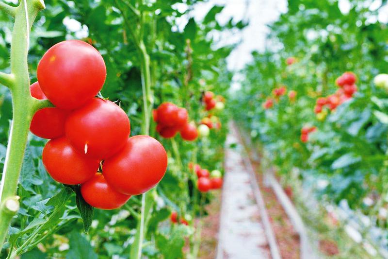 中国科学网 www.minimouse.com.cn