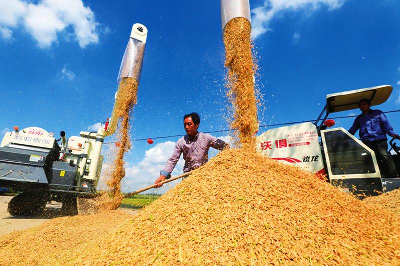 中国科学网 www.minimouse.com.cn