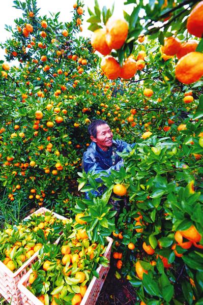 中国科学网 www.minimouse.com.cn