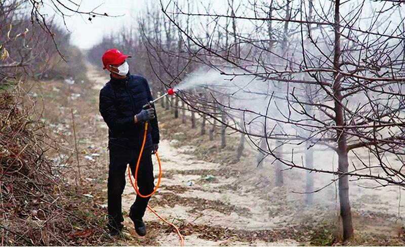 中国科学网 www.minimouse.com.cn