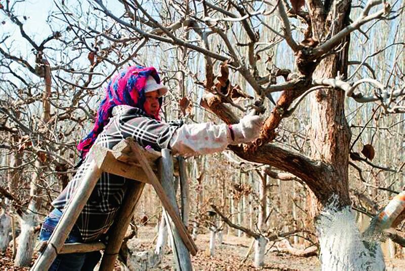 中国科学网 www.minimouse.com.cn