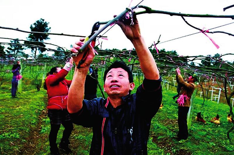 中国科学网 www.minimouse.com.cn