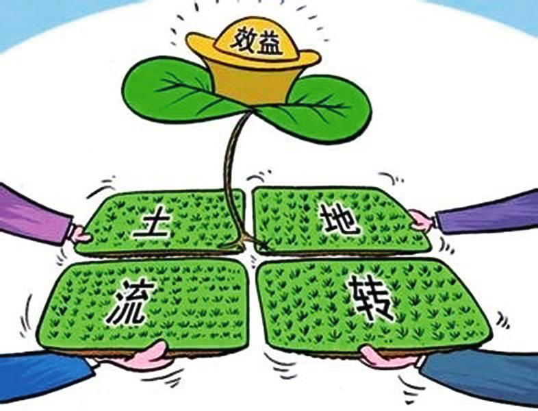 中国科学网 www.minimouse.com.cn