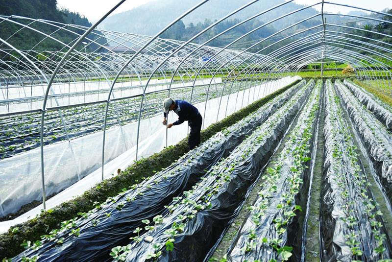 中国科学网 www.minimouse.com.cn