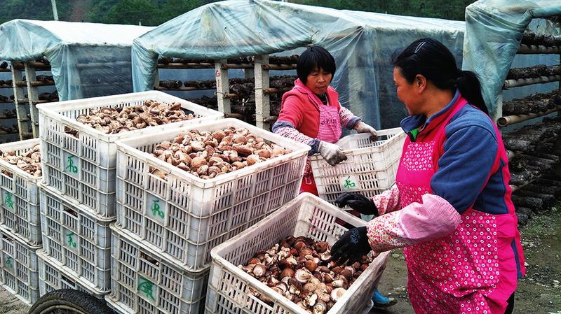 中国科学网 www.minimouse.com.cn