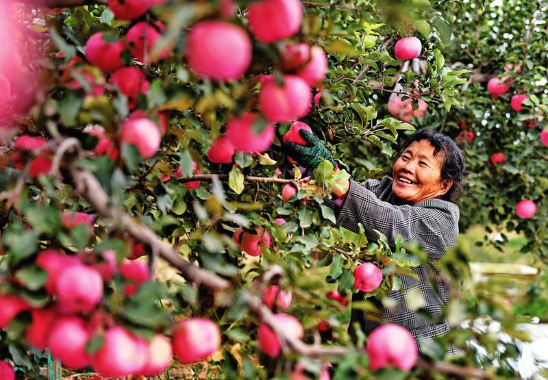 中国科学网 www.minimouse.com.cn