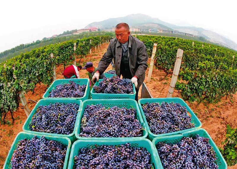 中国科学网 www.minimouse.com.cn