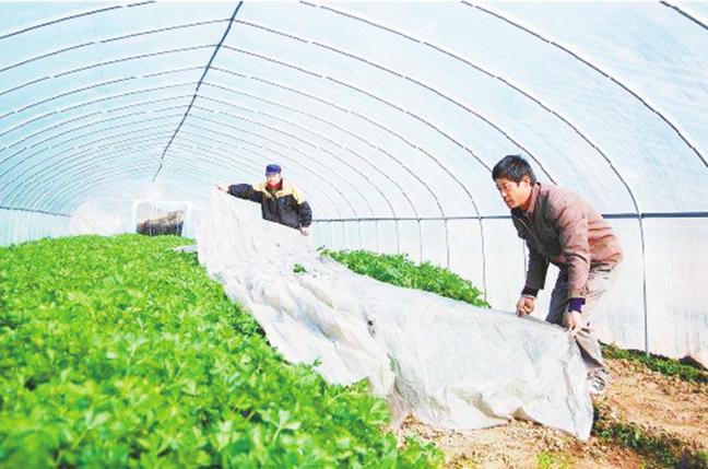 中国科学网 www.minimouse.com.cn