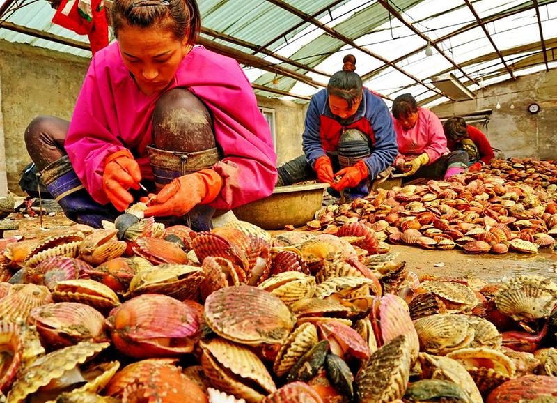 中国科学网 www.minimouse.com.cn