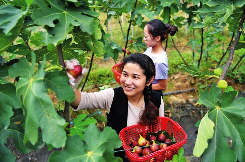 中国科学网 www.minimouse.com.cn