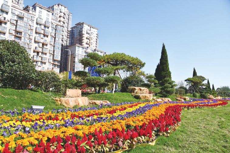 中国科学网 www.minimouse.com.cn