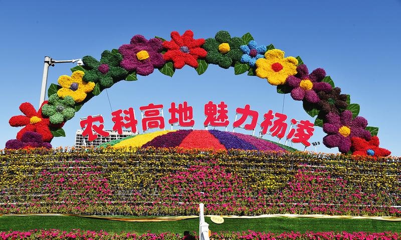 中国科学网 www.minimouse.com.cn