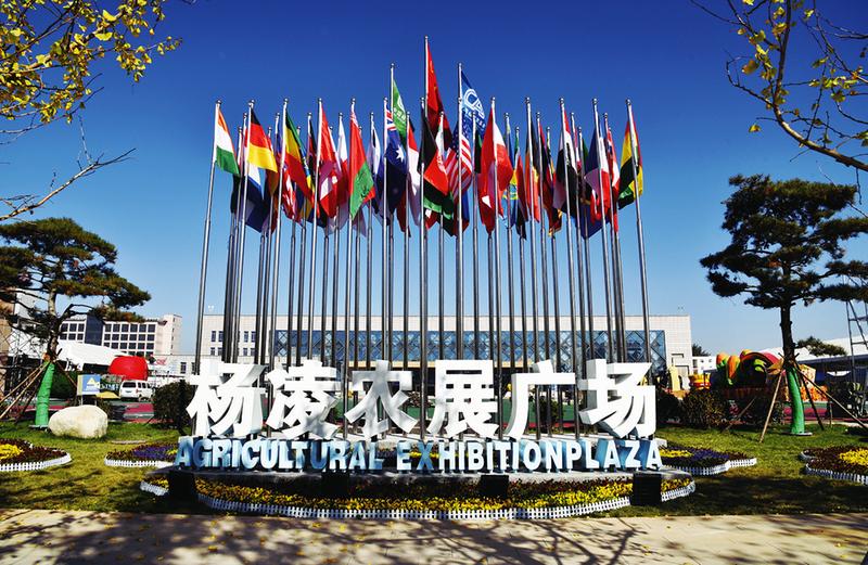 中国科学网 www.minimouse.com.cn