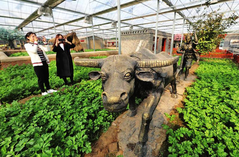 中国科学网 www.minimouse.com.cn