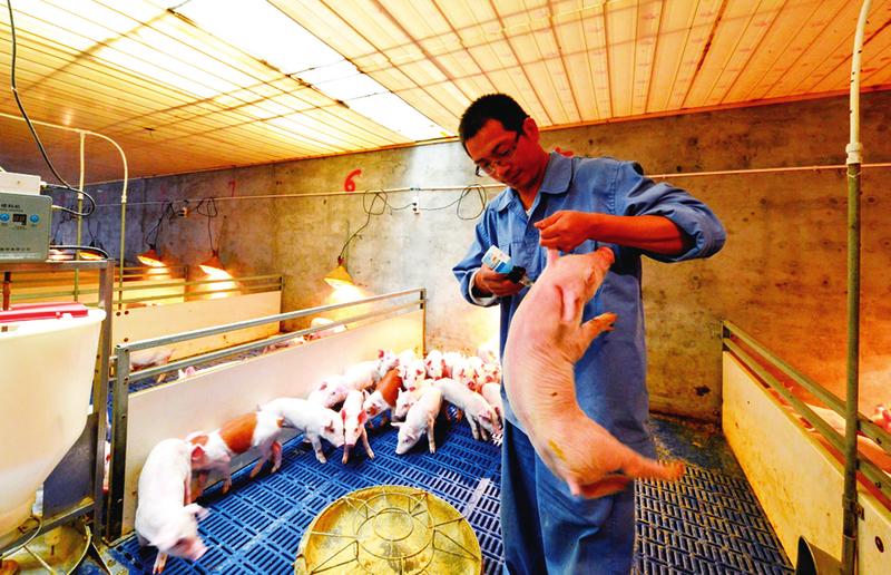 中国科学网 www.minimouse.com.cn