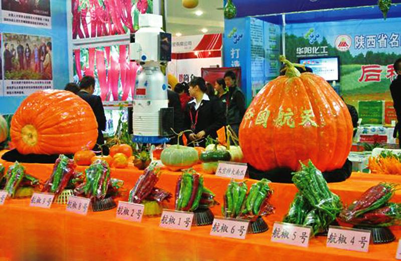 中国科学网 www.minimouse.com.cn