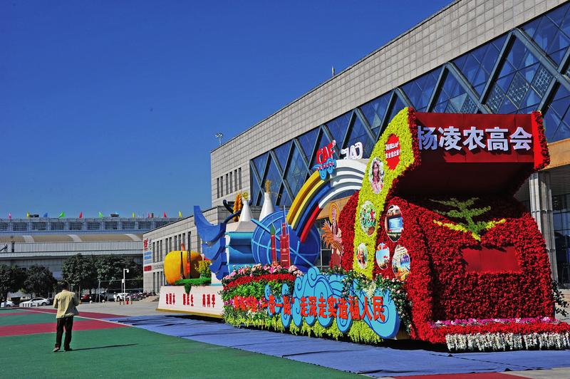 中国科学网 www.minimouse.com.cn