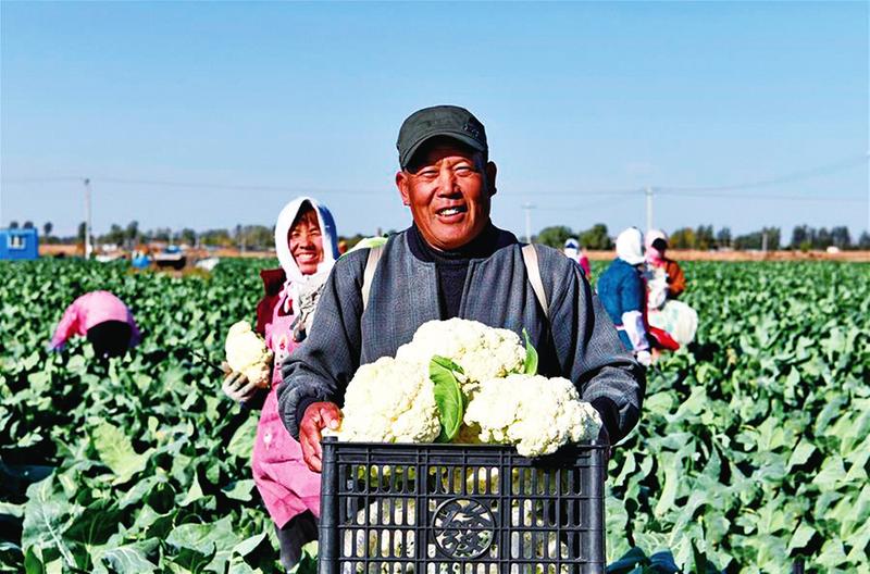 中国科学网 www.minimouse.com.cn