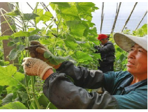 中国科学网 www.minimouse.com.cn