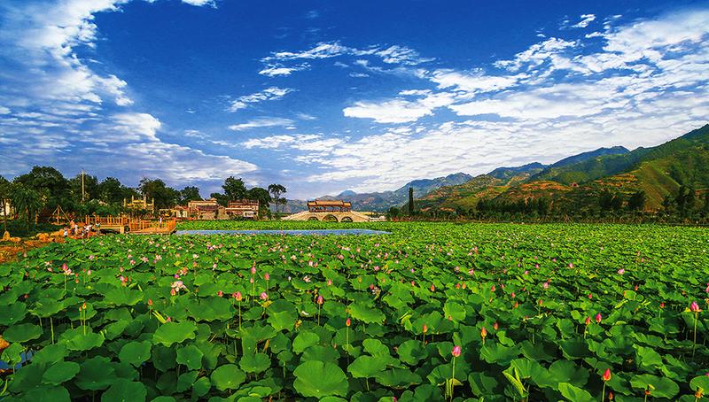 中国科学网 www.minimouse.com.cn