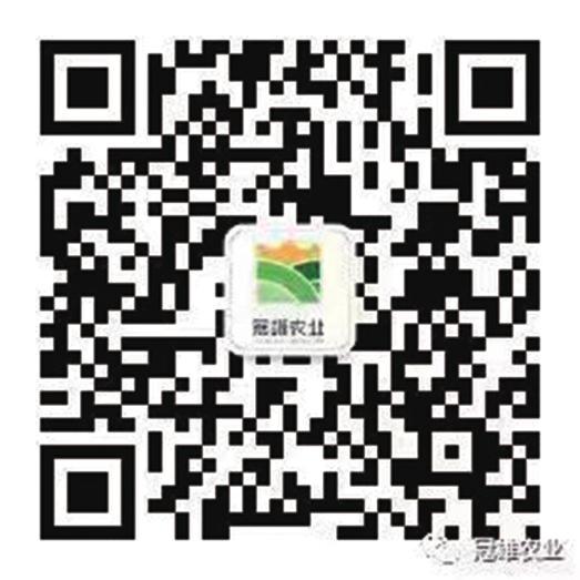 中国科学网 www.minimouse.com.cn