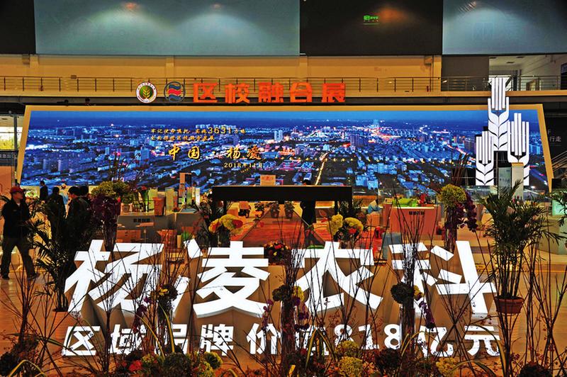 中国科学网 www.minimouse.com.cn