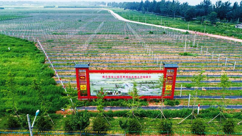 中国科学网 www.minimouse.com.cn
