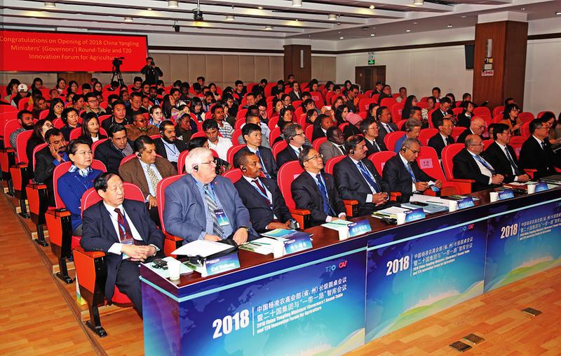 中国科学网 www.minimouse.com.cn