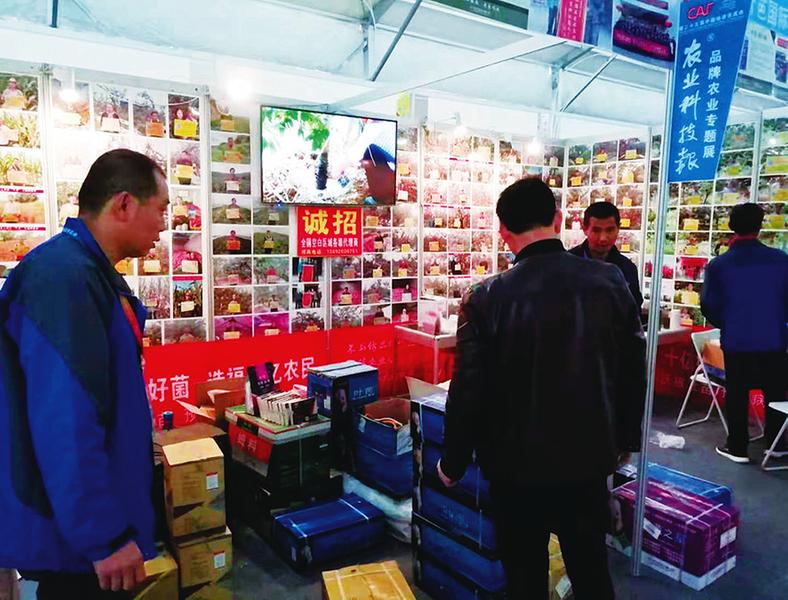 中国科学网 www.minimouse.com.cn
