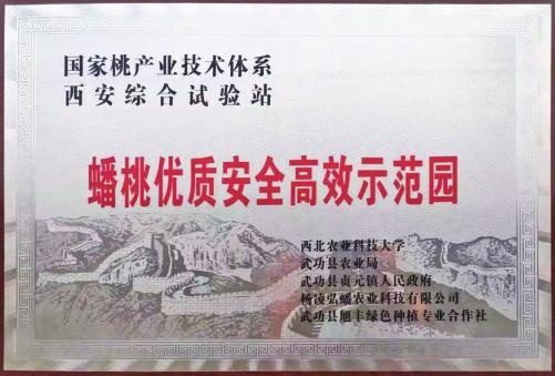中国科学网 www.minimouse.com.cn