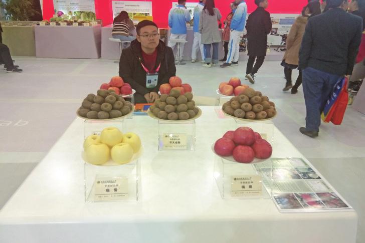 中国科学网 www.minimouse.com.cn