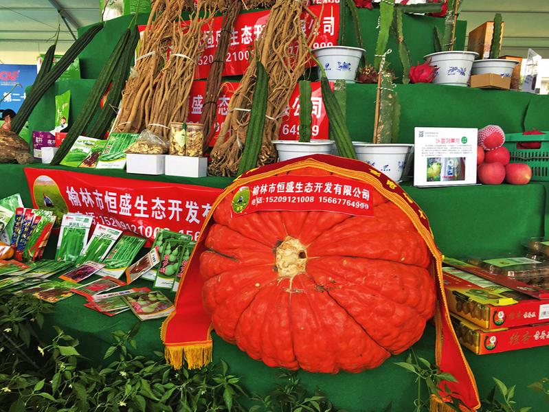 中国科学网 www.minimouse.com.cn