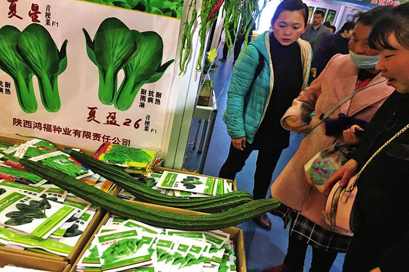 中国科学网 www.minimouse.com.cn