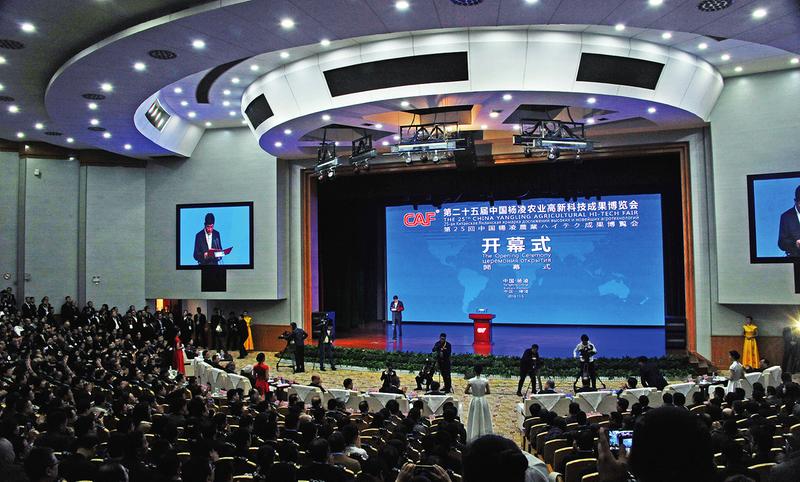 中国科学网 www.minimouse.com.cn