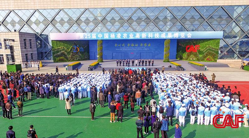 中国科学网 www.minimouse.com.cn
