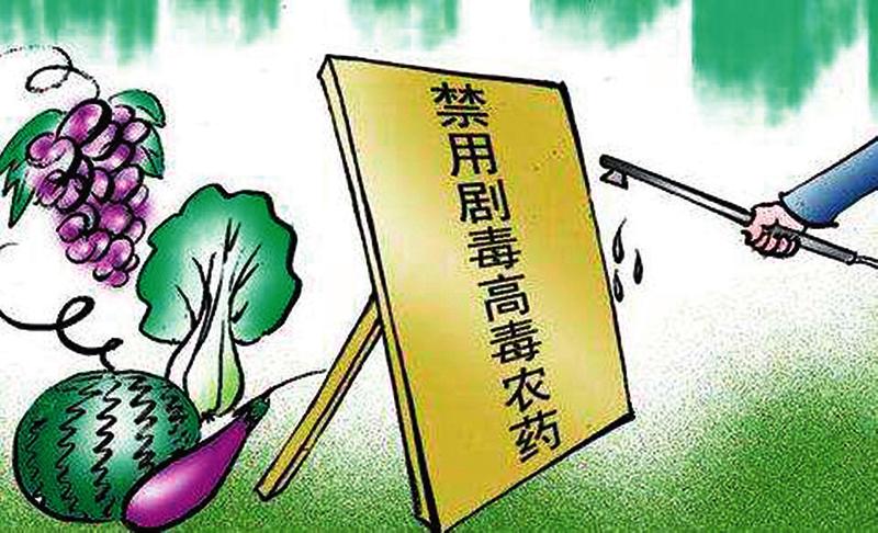 中国科学网 www.minimouse.com.cn