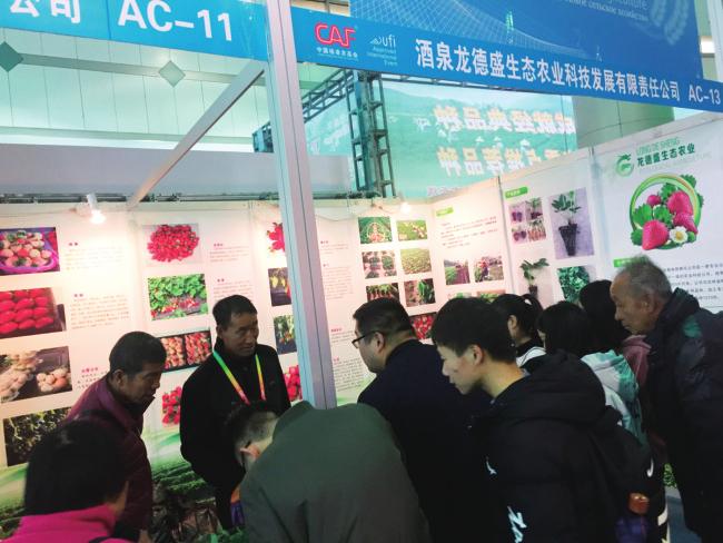 中国科学网 www.minimouse.com.cn