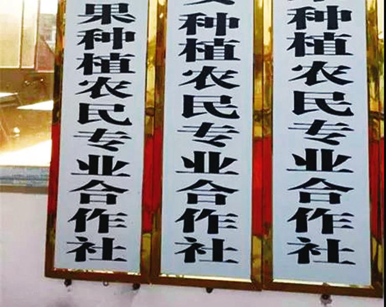 中国科学网 www.minimouse.com.cn