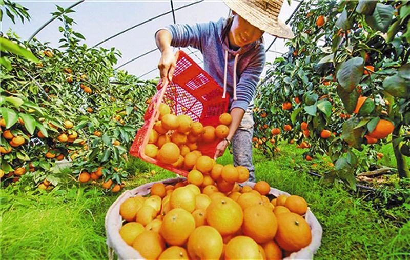 中国科学网 www.minimouse.com.cn