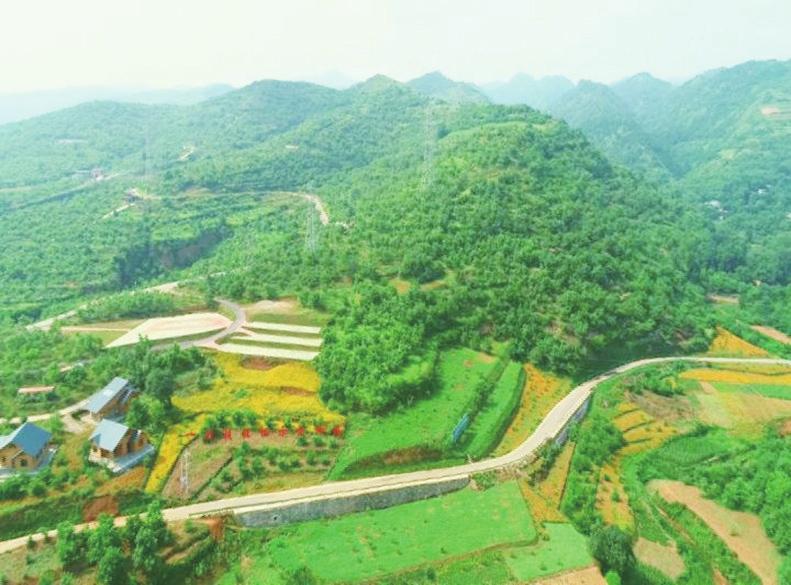 中国科学网 www.minimouse.com.cn
