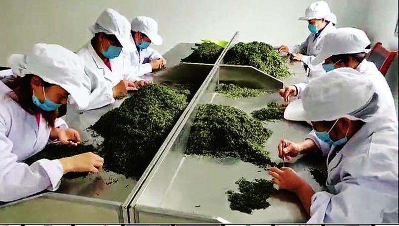 中国科学网 www.minimouse.com.cn