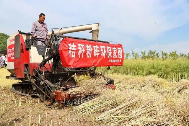 中国科学网 www.minimouse.com.cn