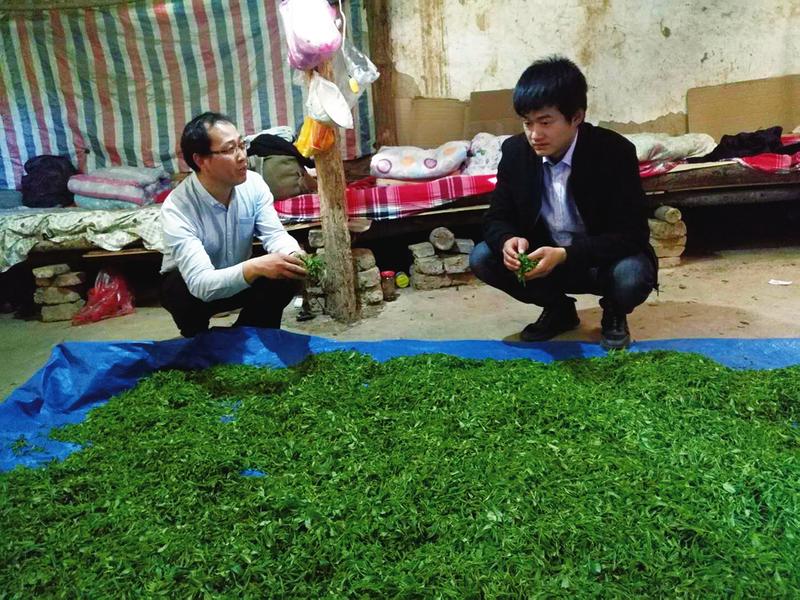 中国科学网 www.minimouse.com.cn
