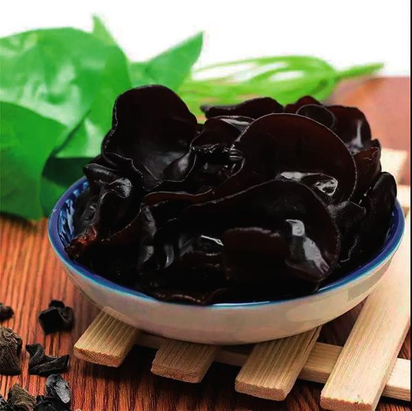 中国科学网 www.minimouse.com.cn