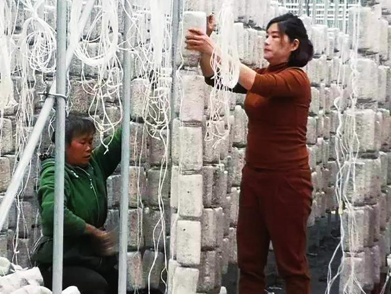 中国科学网 www.minimouse.com.cn