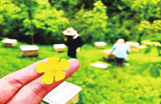 中国科学网 www.minimouse.com.cn