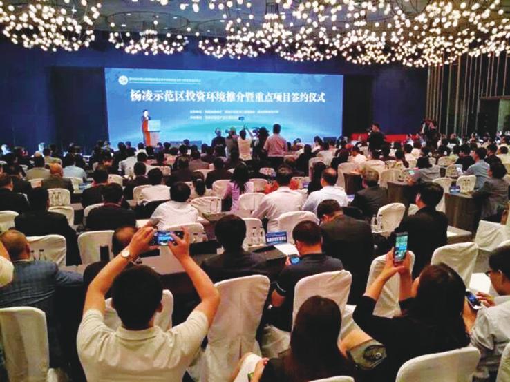 中国科学网 www.minimouse.com.cn