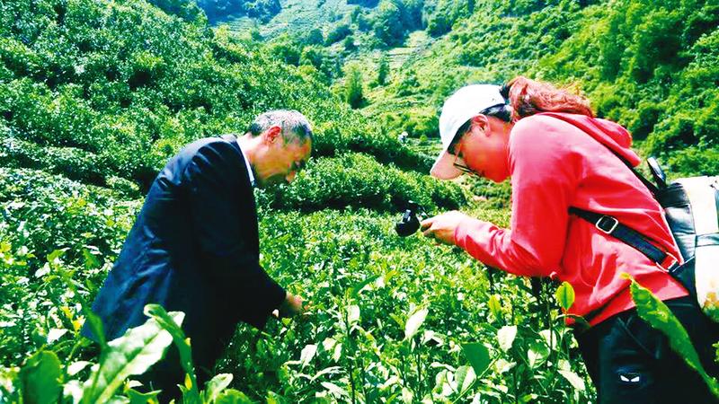 中国科学网 www.minimouse.com.cn