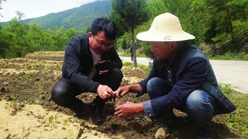 中国科学网 www.minimouse.com.cn