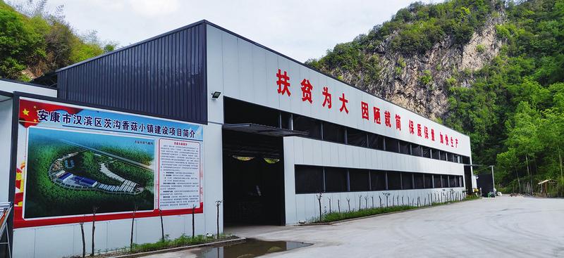 中国科学网 www.minimouse.com.cn